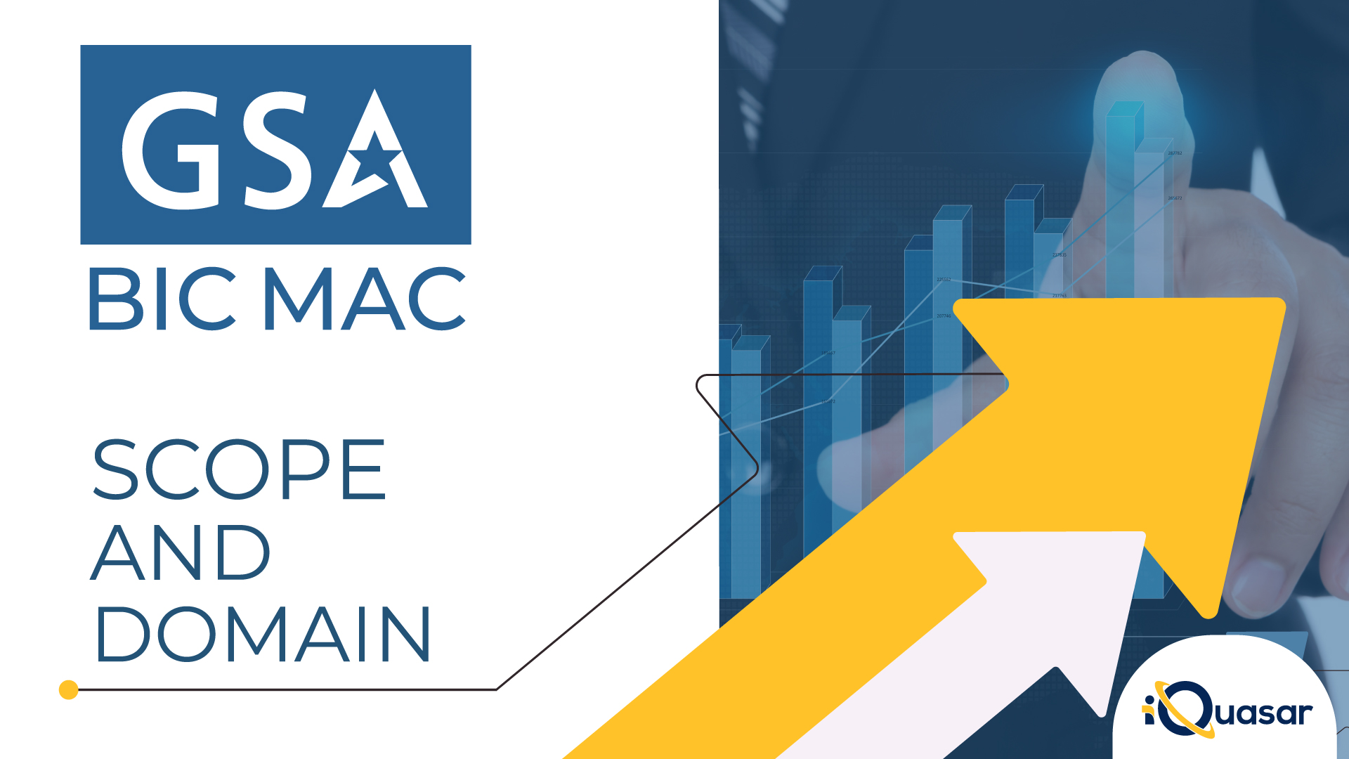 GSA BIC MAC- Scope and Domain