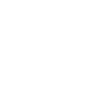 technical architects