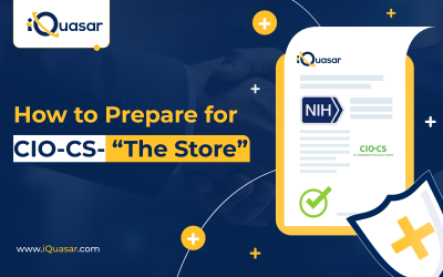 How to Prepare for CIO-CS – Chief Information Officer – Commodities Store “The Store”