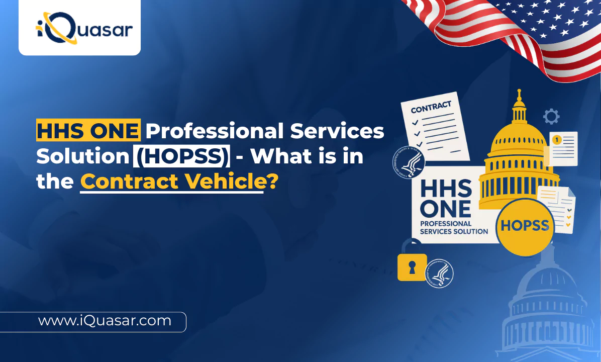 HHS ONE Professional Services Solution